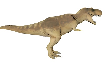 3d史前恐龙霸王龙模型