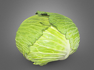 3d蔬菜卷心菜圆白菜模型