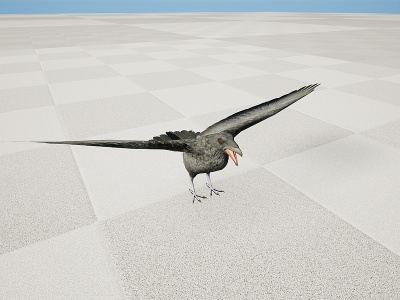 3d野生动物鹦鹉鸟乌鸦模型