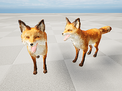 3d野生动物狐狸模型