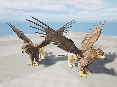 3d野生动物老鹰模型