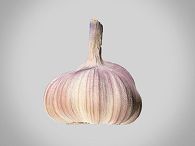 3d蔬菜调料调味品大蒜蒜头模型