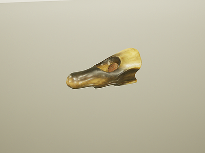 3d动物骨头文物化石模型