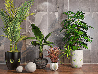 3d植物绿植盆栽模型