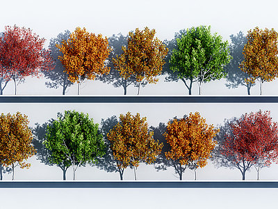 3d植物绿植树木组合模型