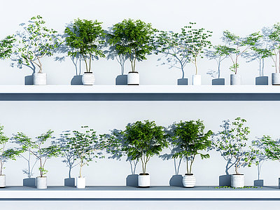 3d植物<font class='myIsRed'>绿植盆栽</font>组合模型