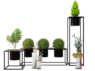 植物绿植盆栽组合模型3d模型