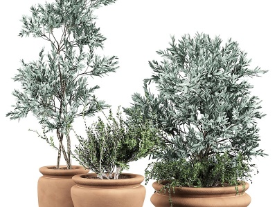 3d植物绿植盆栽组合模型