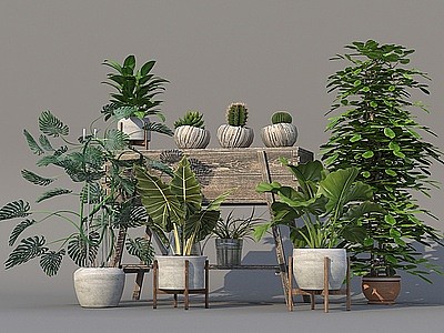 3d植物绿植盆栽组合模型