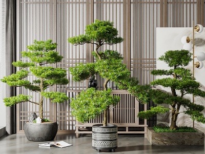 3d新中式绿植盆栽组合模型