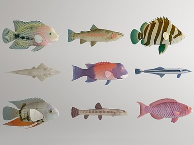 金鱼鱼模型3d模型