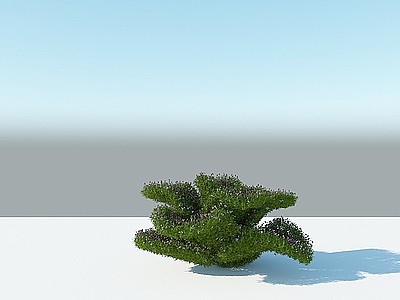 植物雕塑松子乌龟模型3d模型