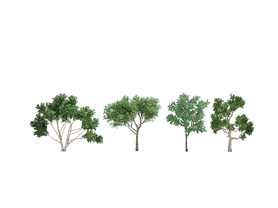 3d植物树模型