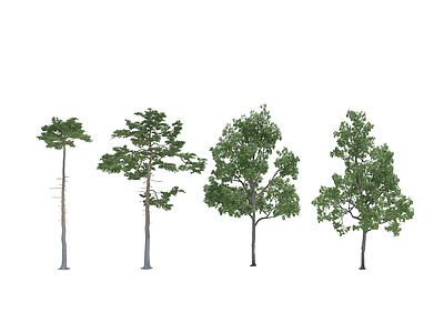 植物树模型3d模型