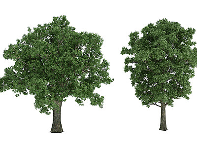 3d<font class='myIsRed'>植物树</font>模型