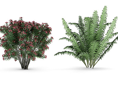 灌木花草 树模型3d模型