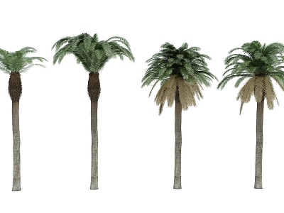 热带植物树模型3d模型