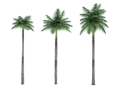 3d<font class='myIsRed'>热带植物</font>树模型