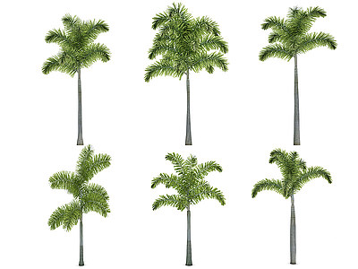 热带植物树模型