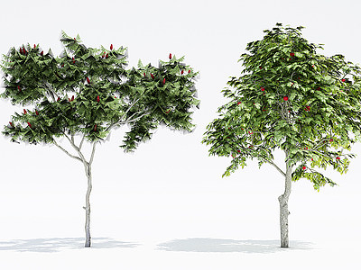 3d植物树木大树果树模型