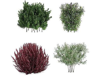植物灌木丛景观草花模型