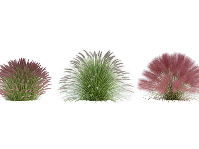 3d植物花草景观灌木丛模型