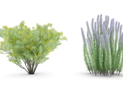 植物树木草灌木丛景观模型3d模型