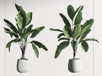 3d现代植物<font class='myIsRed'>盆栽</font>模型