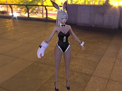 3d性感网袜蕾丝兔女郎模型