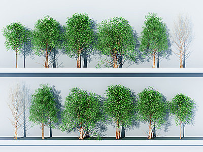 3d现代杉树3D模型模型
