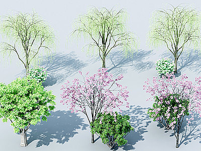 3d柳树模型