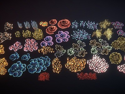 海底植物珊瑚组合模型3d模型