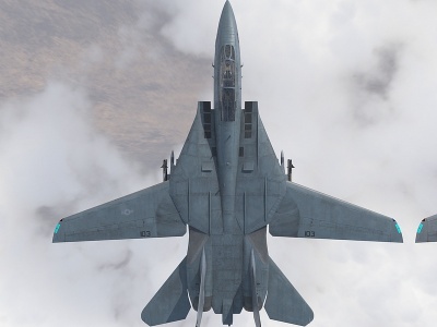 F14A战斗机涂装模型3d模型