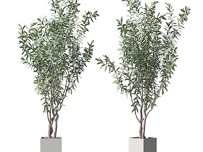 植物盆栽模型3d模型