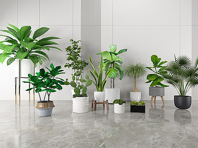 C4D3d盆栽植物模型下载模型