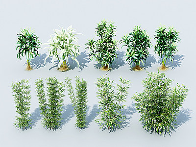 竹子绿植模型