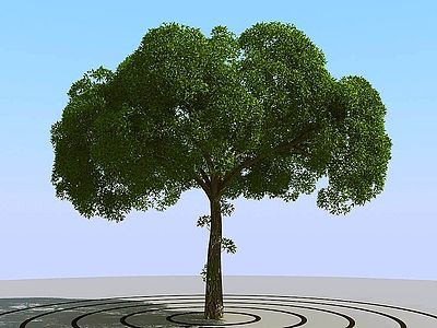 现代景观树模型