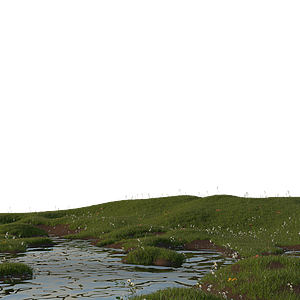 草地河塘整体模型