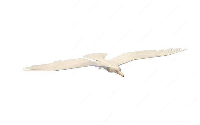 白鸟3D模型