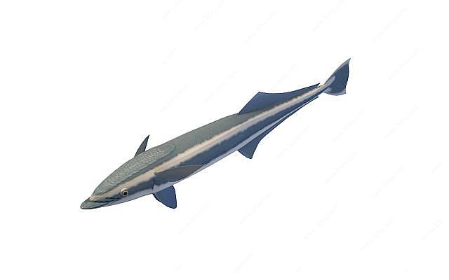 多春鱼3D模型