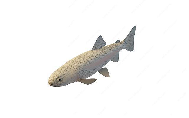 鲟鱼3D模型