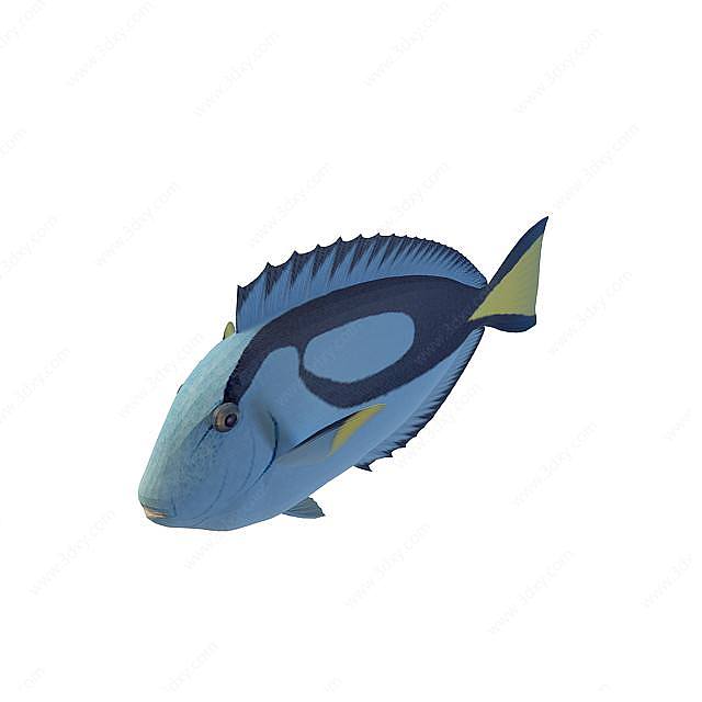 荧光鱼3D模型