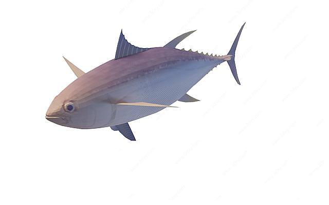 紫鱼3D模型