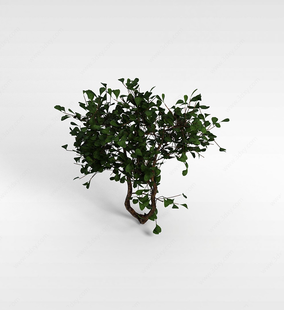 绿叶灌木3D模型