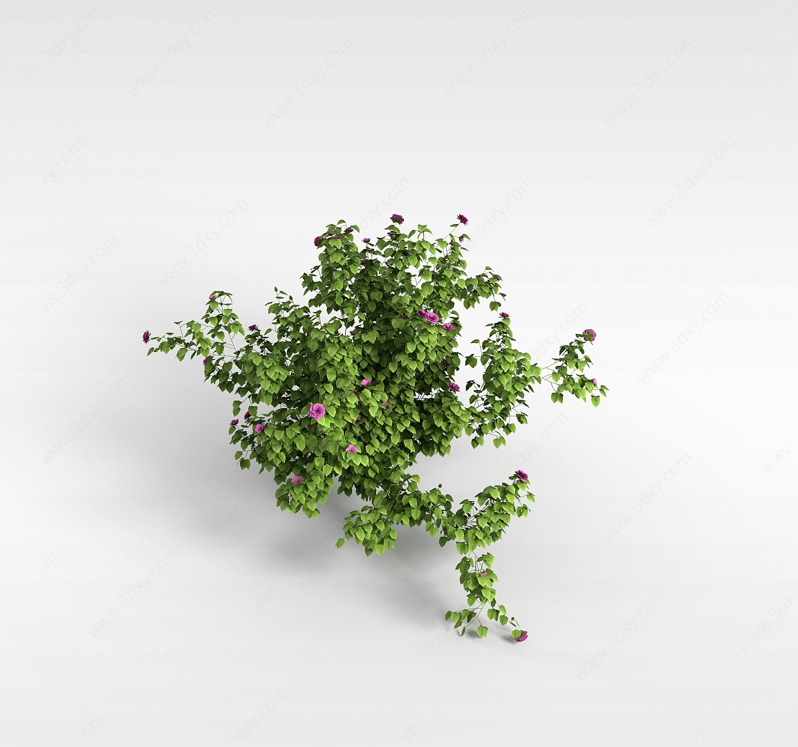 开花盆栽3D模型