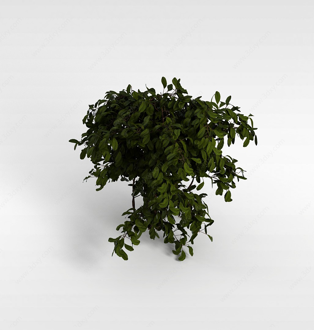 茂盛灌木3D模型