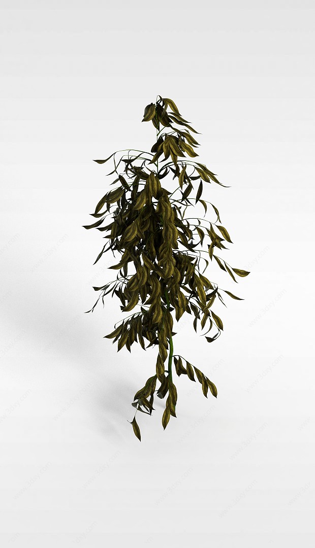 枯叶灌木3D模型