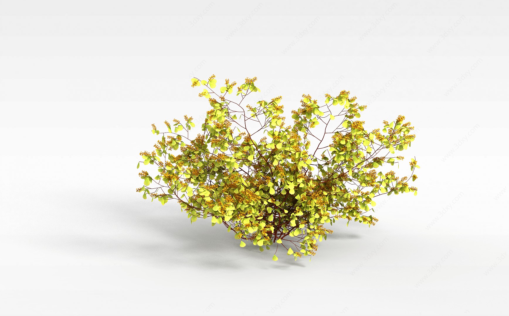 绿色灌木3D模型