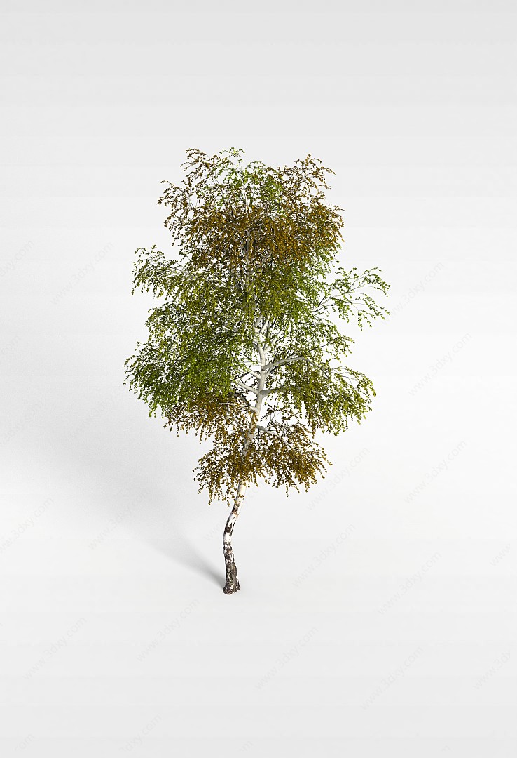 园林树木3D模型