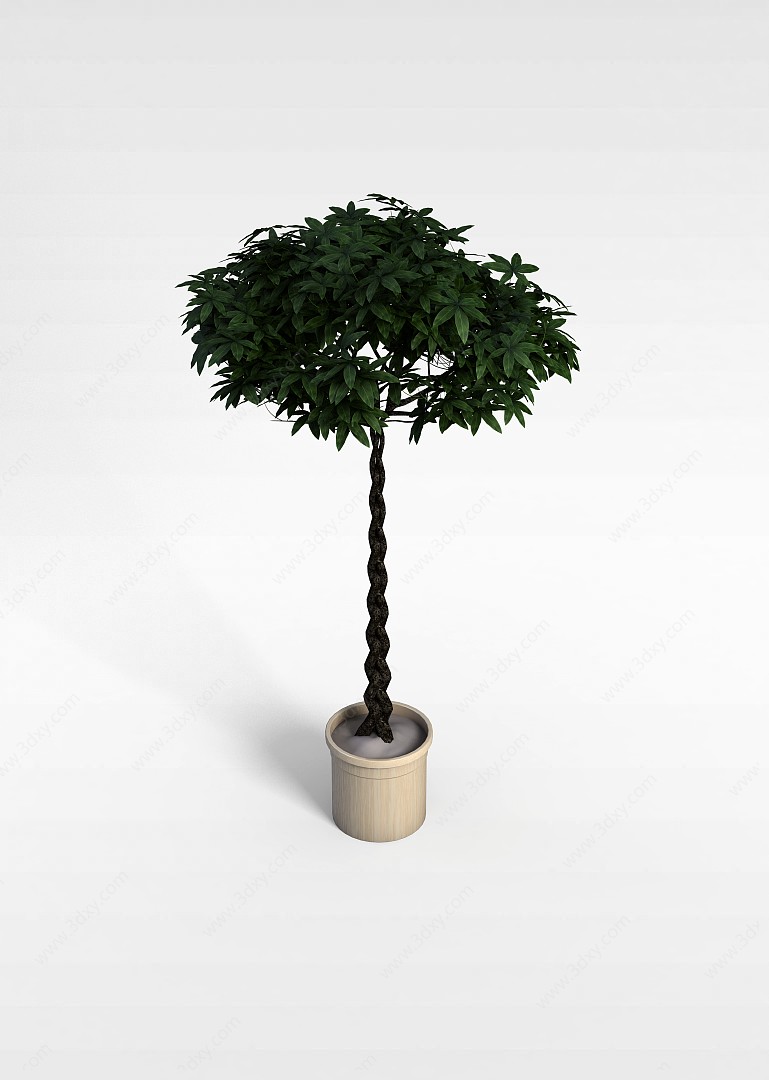 盆栽树3D模型